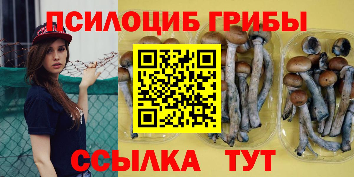 Алексеевка  Псилоцибиновые грибы GOLDEN TEACHER  Вход с VPN 